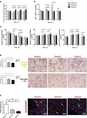 Corrigendum: Treatment of surgical brain injury by immune tolerance induced by peripheral intravenous injection of biotargeting nanoparticles loaded with brain antigens